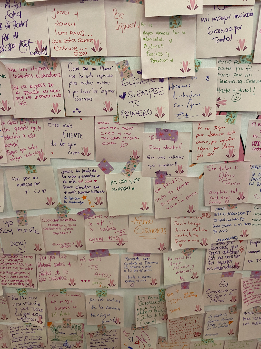 NIHLO EN LA CARRERA DE LAS ROSAS