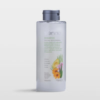 Shampoo sin Sal Adicionada 1 l